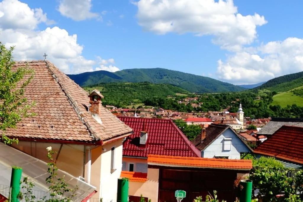 Apartament Panoramic La Casa In Comuna Răşinari Eksteriør billede