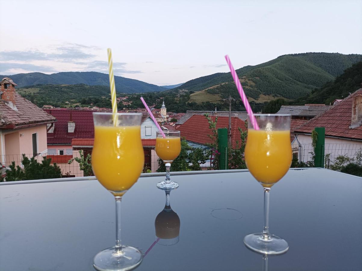 Apartament Panoramic La Casa In Comuna Răşinari Eksteriør billede