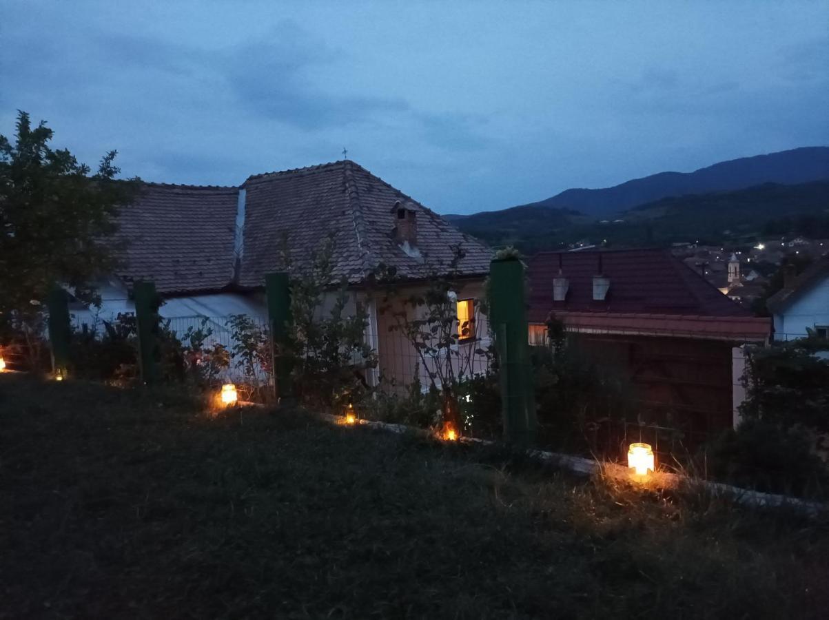 Apartament Panoramic La Casa In Comuna Răşinari Eksteriør billede
