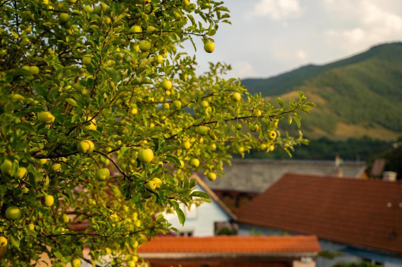 Apartament Panoramic La Casa In Comuna Răşinari Eksteriør billede