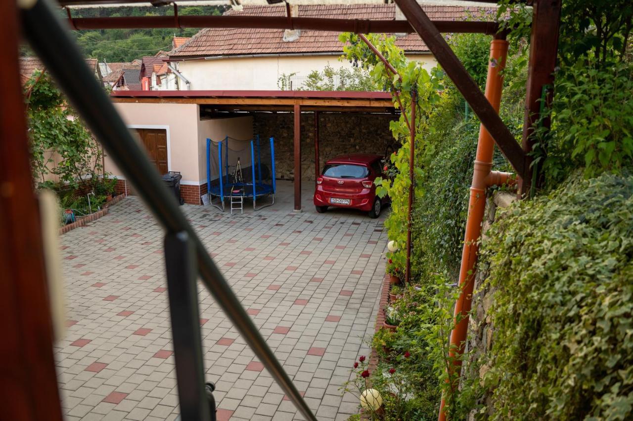 Apartament Panoramic La Casa In Comuna Răşinari Eksteriør billede