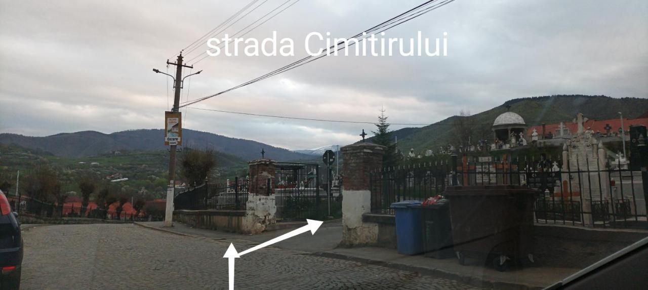 Apartament Panoramic La Casa In Comuna Răşinari Eksteriør billede