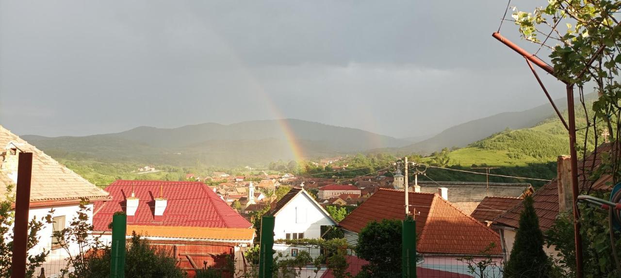Apartament Panoramic La Casa In Comuna Răşinari Eksteriør billede